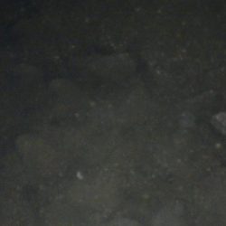 交通事故⁇再現氏は‼ゼロ~、、、